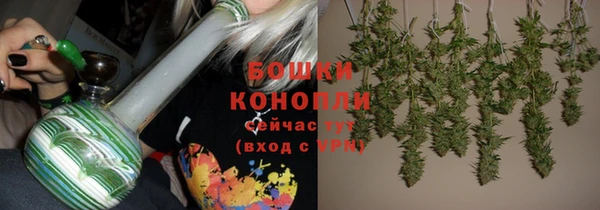 индика Бугульма