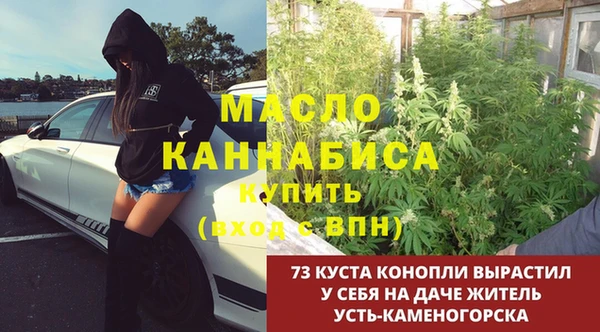 индика Бугульма