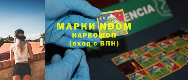 индика Бугульма
