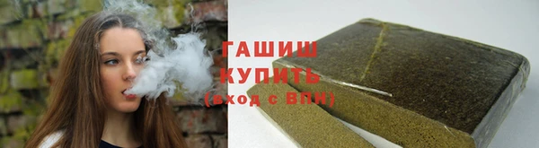 индика Бугульма