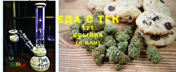 индика Бугульма