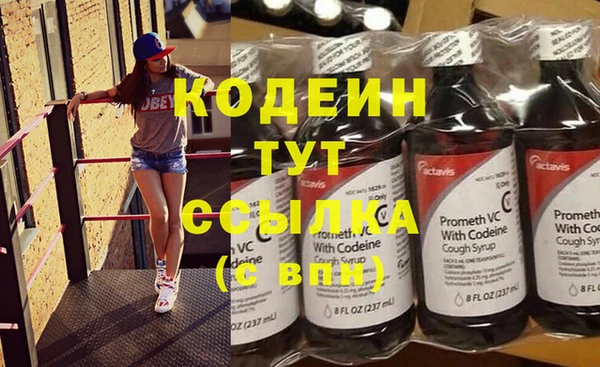 индика Бугульма
