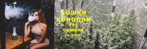 индика Бугульма