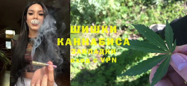 индика Бугульма