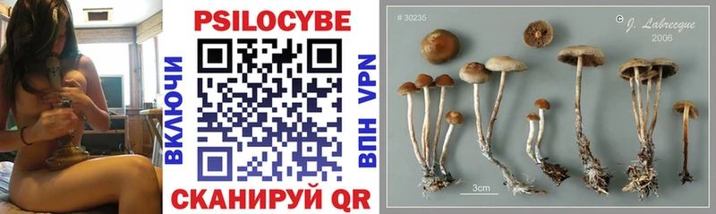купить   Канаш  Псилоцибиновые грибы MAGIC MUSHROOMS 