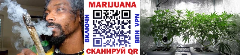 Шишки марихуана White Widow Канаш